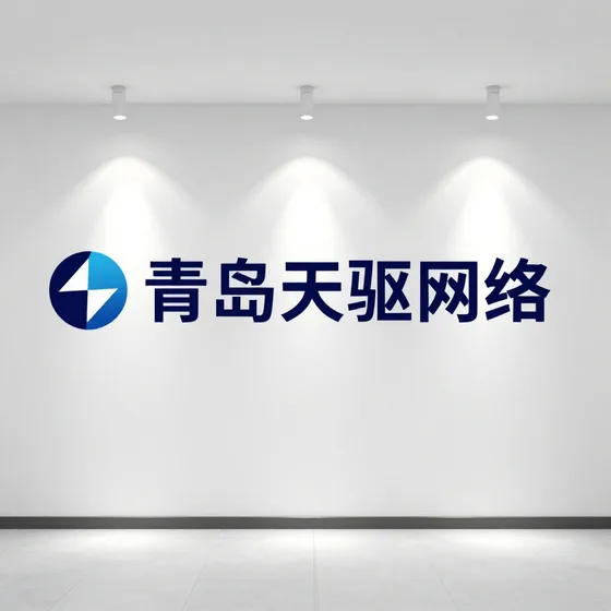 青岛天驱网络